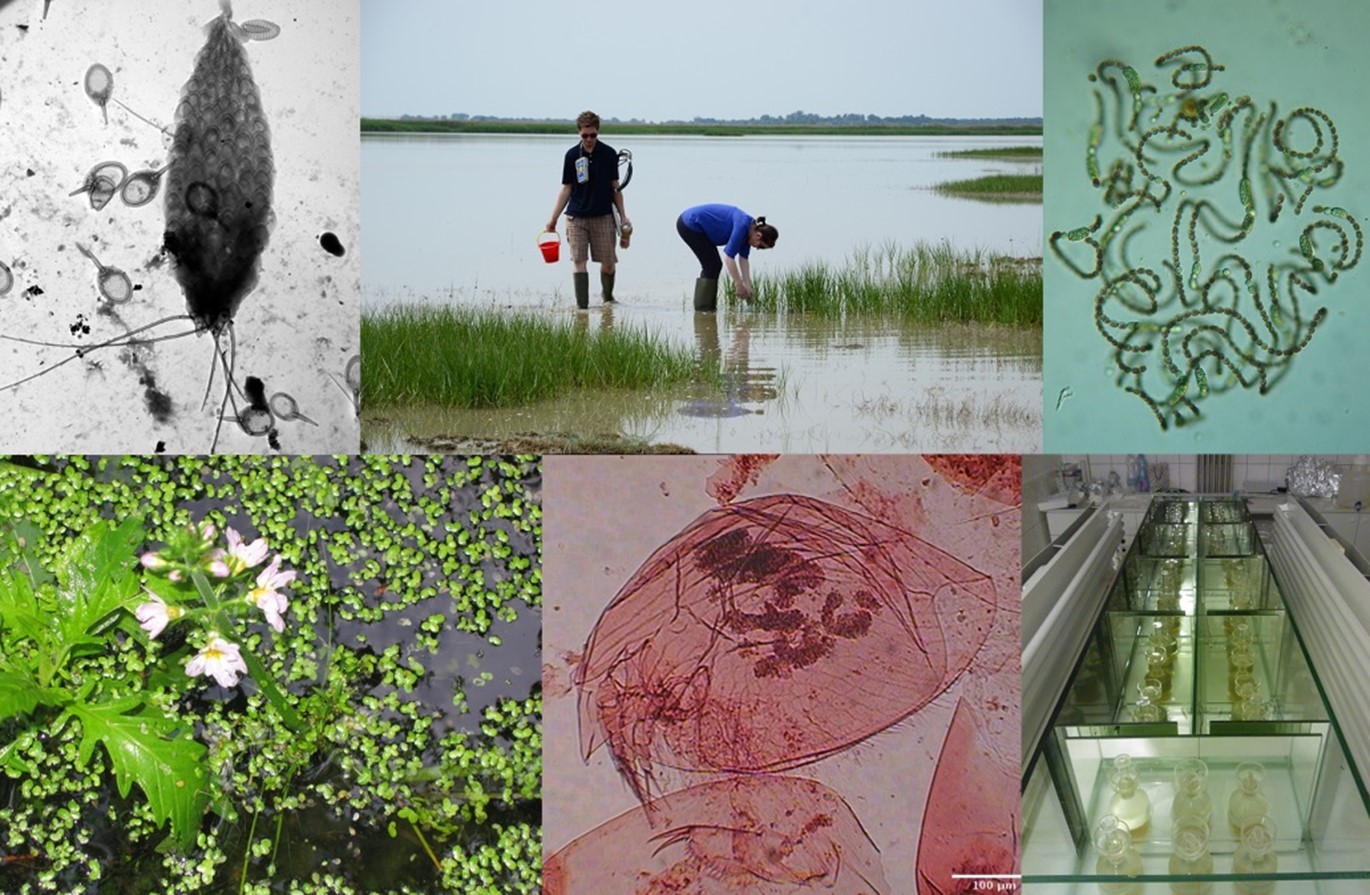 Limnológia Kutatócsoport