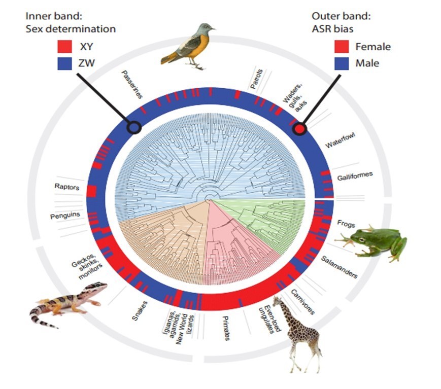 Limnológia Kutatócsoport