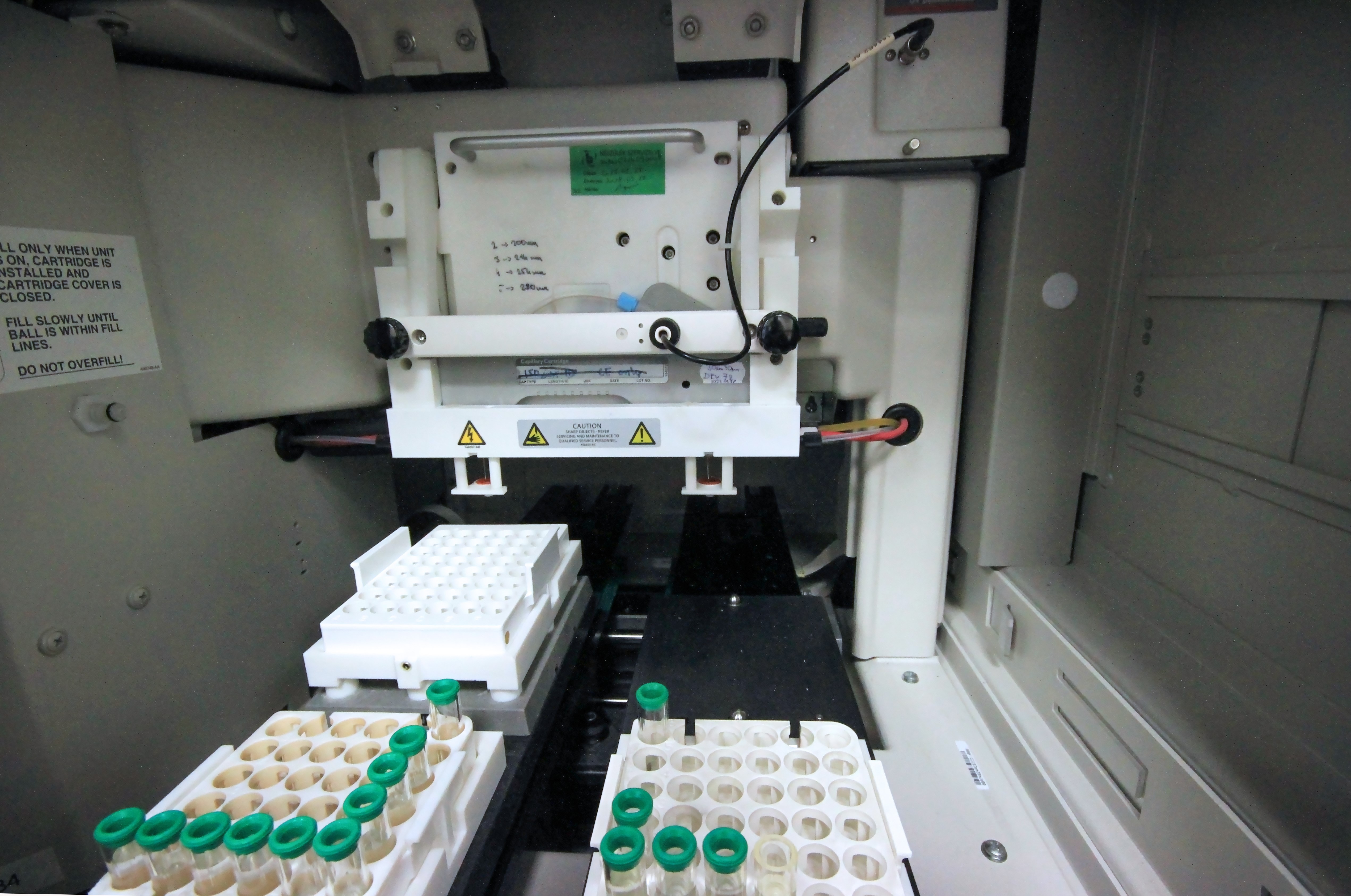 Transzlációs Glikomika