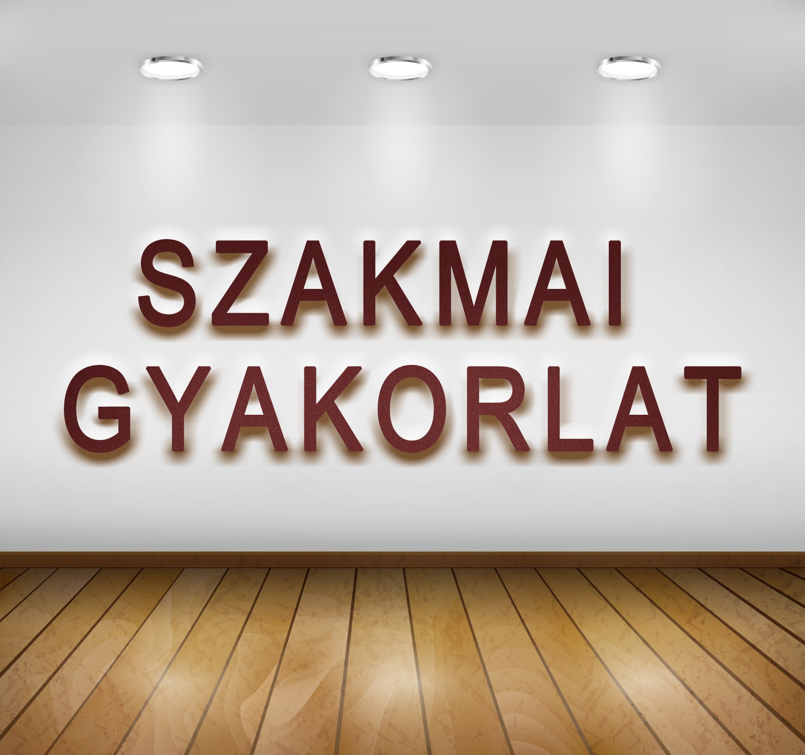 SZAKMAI GYAK