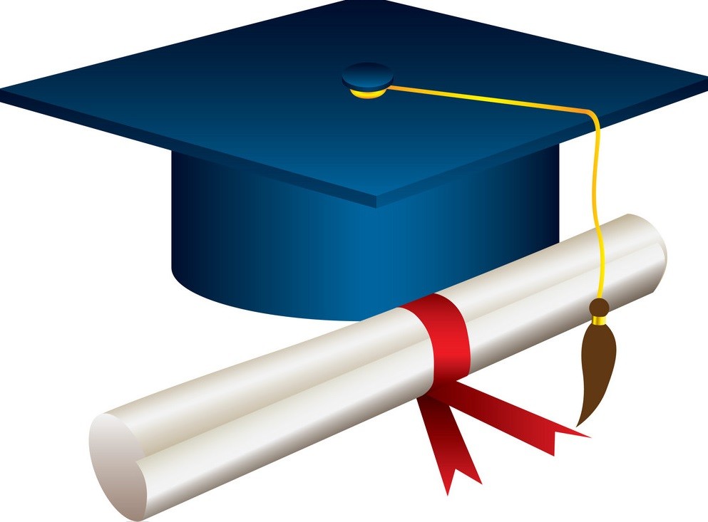 color graduation hat with diploma vector 13464604