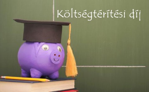 koltsegteritesi dij hu