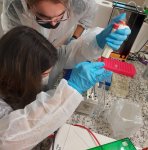 Szent-Györgyi Tehetséggondozó Program